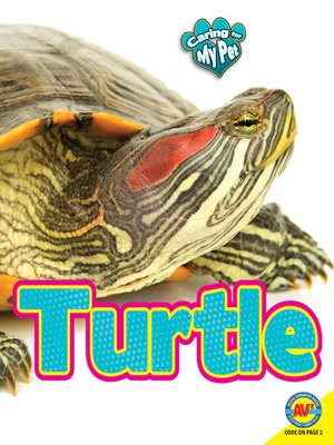 cover image of Turtle